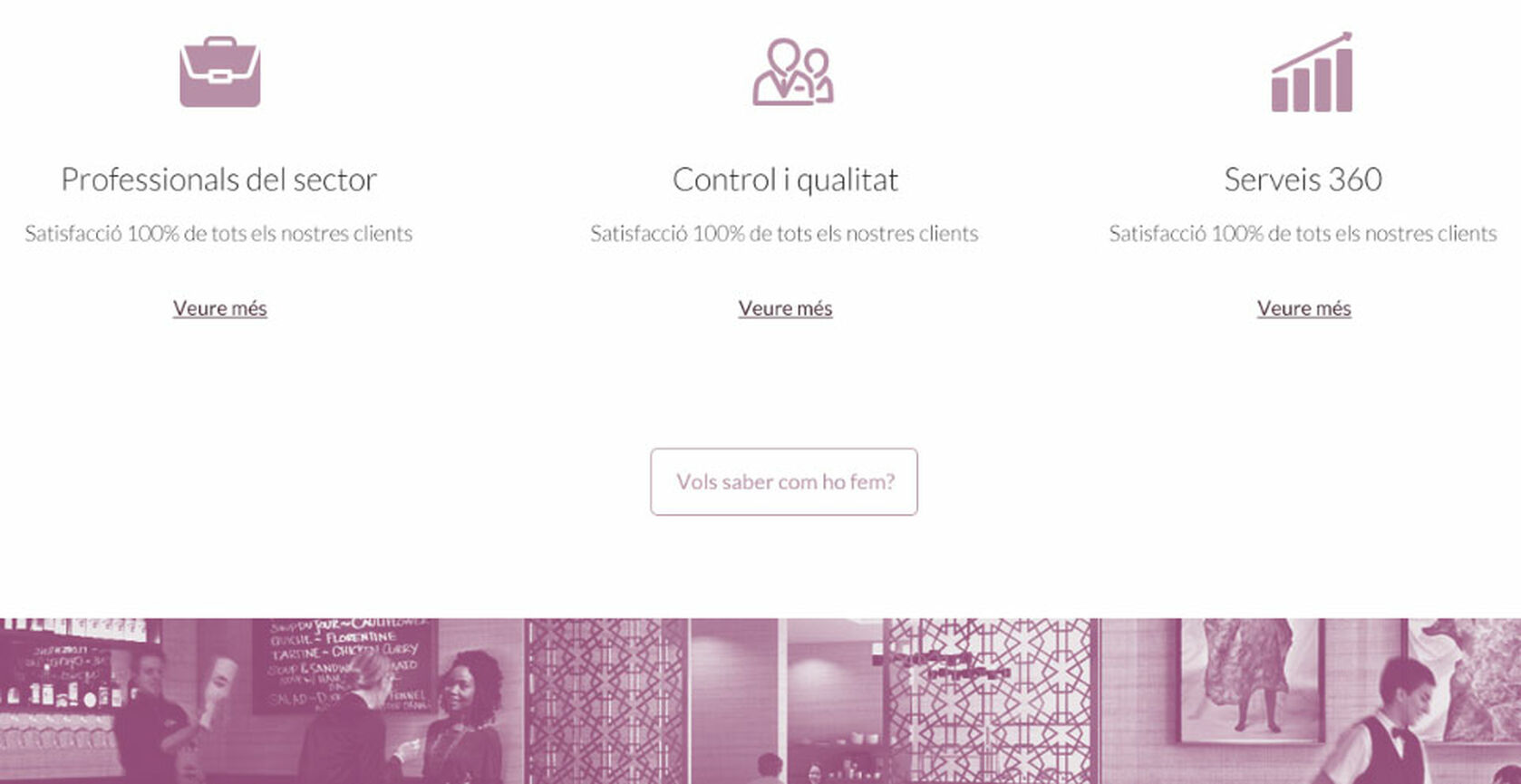 Projecte de pàgina web amb Kit Digital per a Anabel Ros a Maçanet de la Selva
