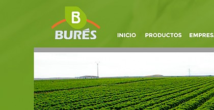 Disseny web a Girona pel grup empresarial Burés