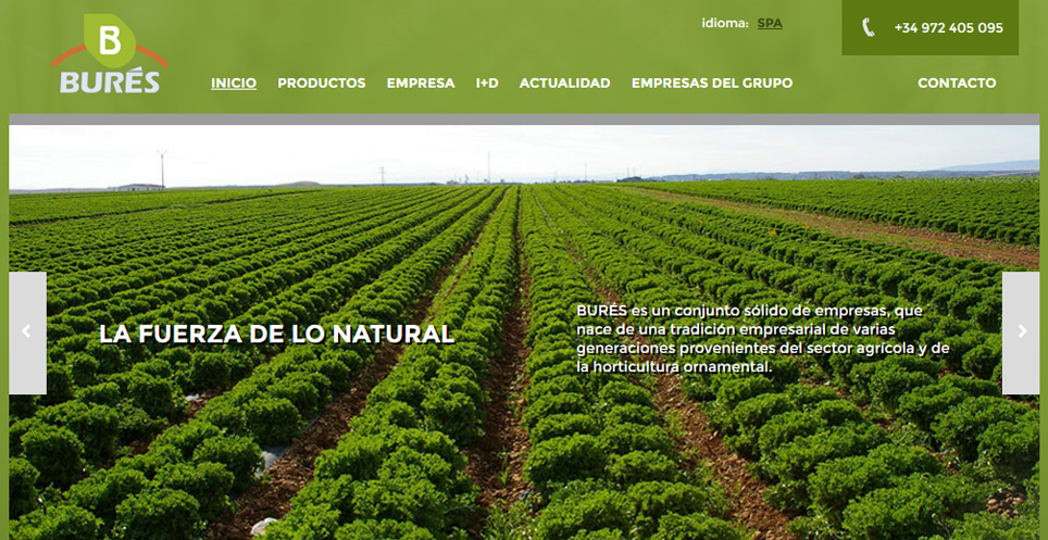 Diseño web en Girona - Burés