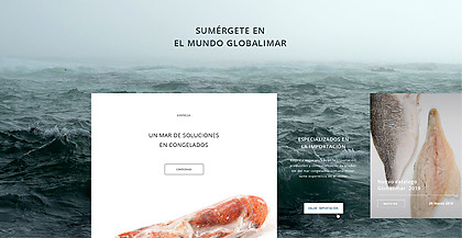 Disseny web Globalimar a Llagostera