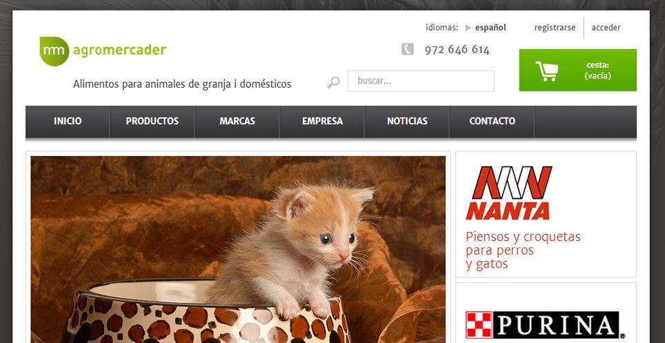 disseny pagines web la jonquera