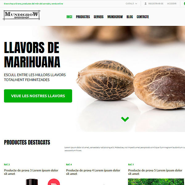 diseño de páginas web y tienda online en Santa Cristina de Aro