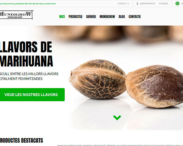 disseny de pàgines web i botiga online a Santa Cristina d'Aro