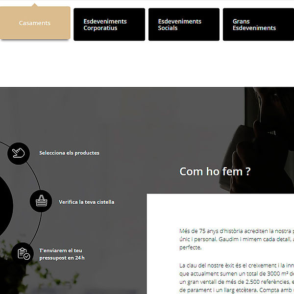 Agencia de Diseño de Páginas Web en Girona