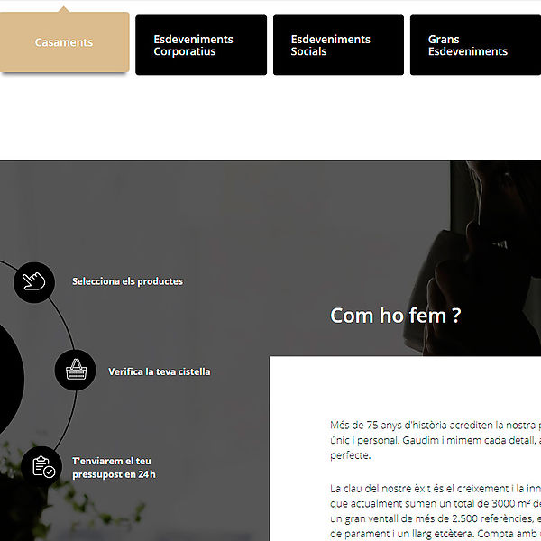 Agència de Disseny de Pàgines Web a Girona